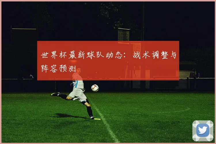 世界杯最新球队动态:战术调整与阵容预测